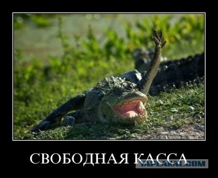 Чёрт, чёрт, чёрт!