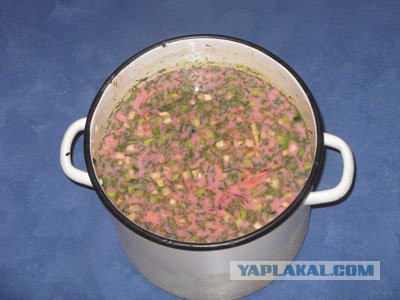 Пост ради Юки.