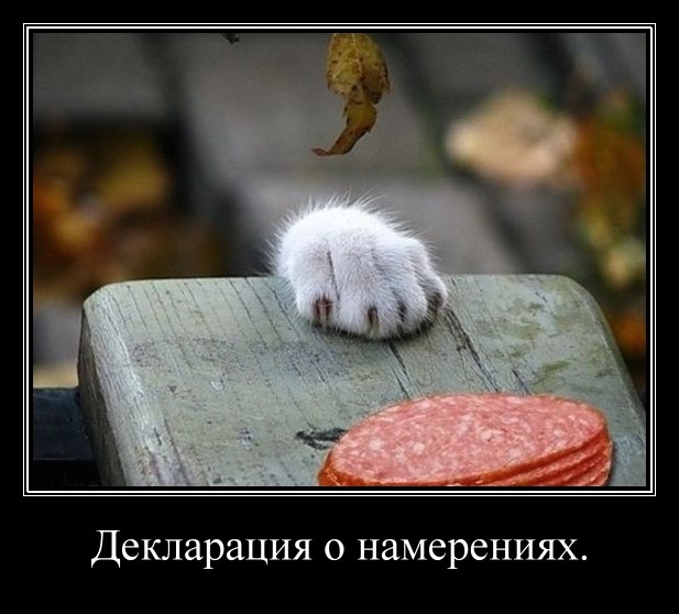 Демотиваторов пост