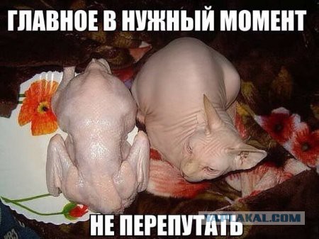 Смешные картинки, добавляйте свои!