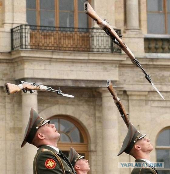 Весёлое из сети