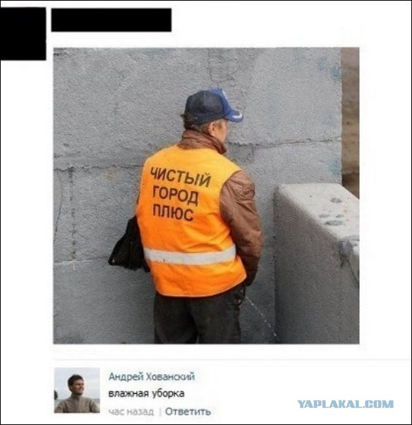 Смешные комментарии из социальных сетей