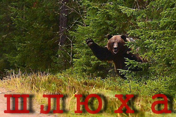 В Волгодонске студентка стала знаменитой после НЮ