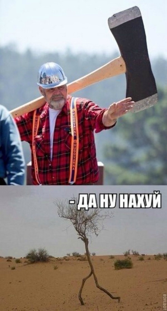 Смешные картинки и комментарии из сети
