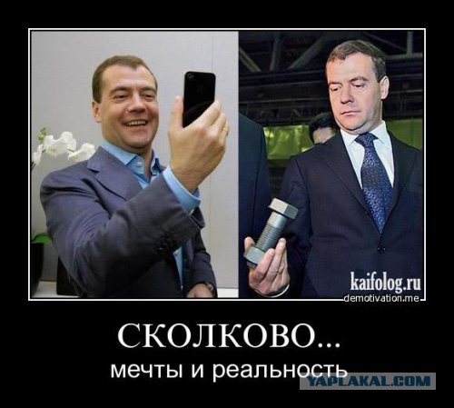 Импортозамещение. Миллиарды, вложенные впустую.