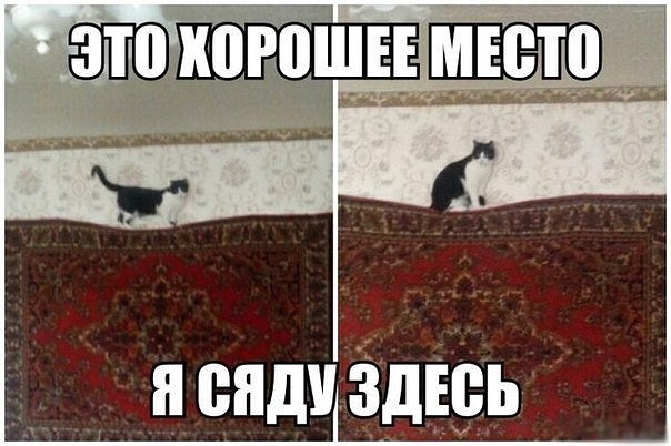 Картинки из инета