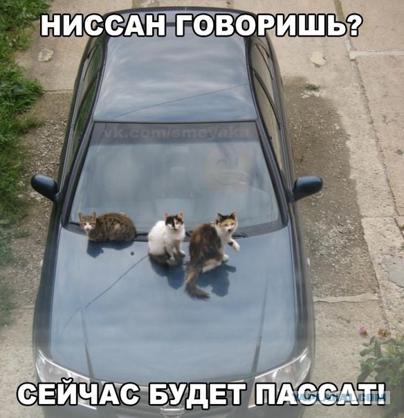Картинки разные