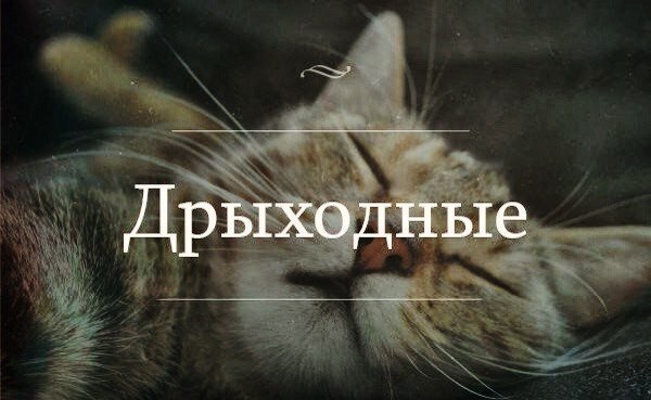 Картинки на пятницу
