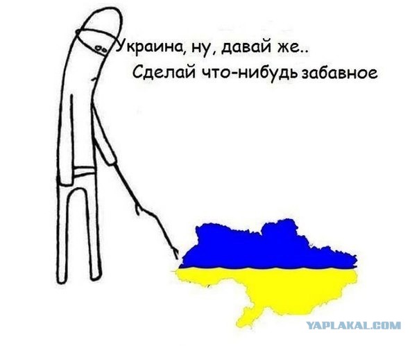 Гроб со свиньей принесли к зданию Верховной рады