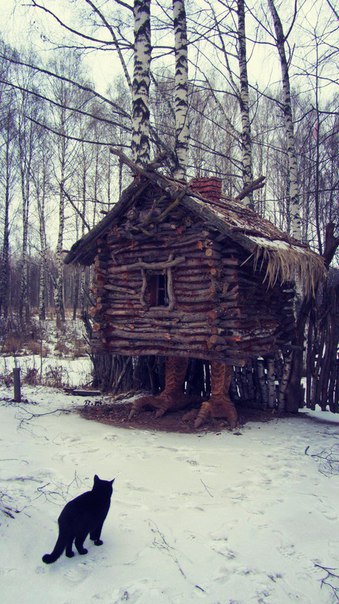 Подборка картинок 17.02.16