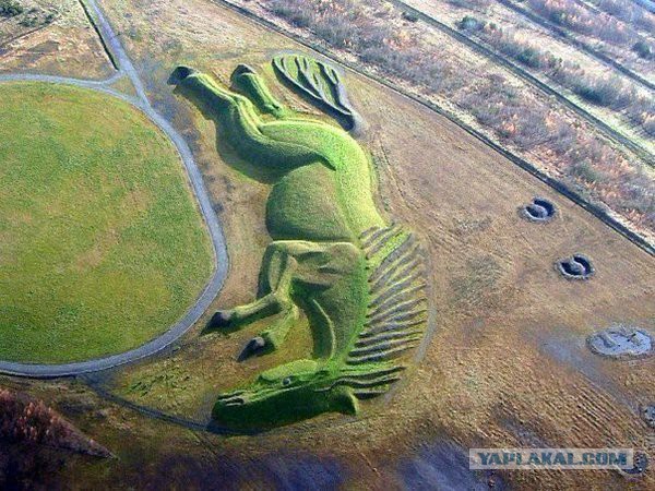 Больше, чем фото