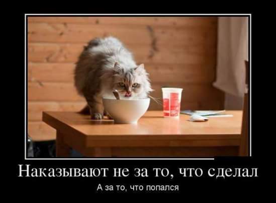 Смешные картинки