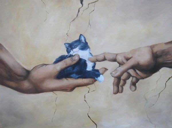 Смешные картинки с надписями