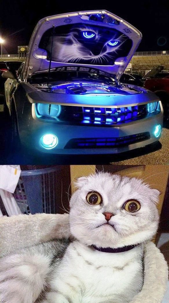 Подборка интересных и веселых картинок