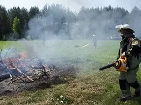 «Дикие сердца» убил случайный пассажир