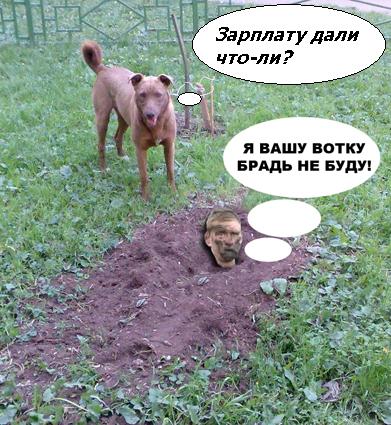 Фотожаба: да здесь где-то недалеко!