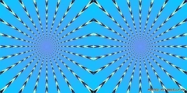Прикольные картинки из интернета