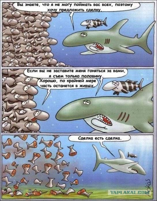 Короткие рассказы ©ekimosss