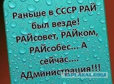 Порция картинок из сети