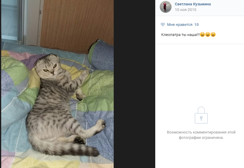 Возможность Комментирования Этой Фотографии Ограничена