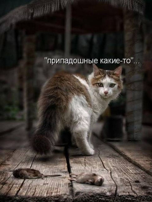 Картинки с надписями - отдохнуть от работы и проблем