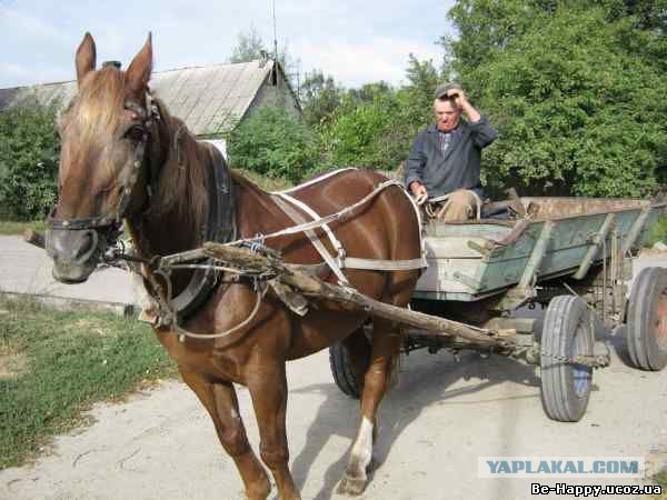 Цусима оккупантам