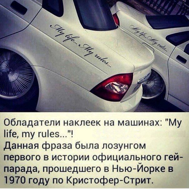Подборка интересных и веселых картинок