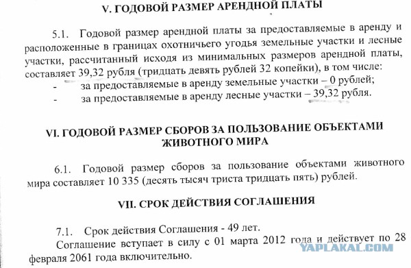 В усадьбу Медведева в Плёсе завезли полсотни алтайских маралов. 4 тысяч га земли за 40 рублей