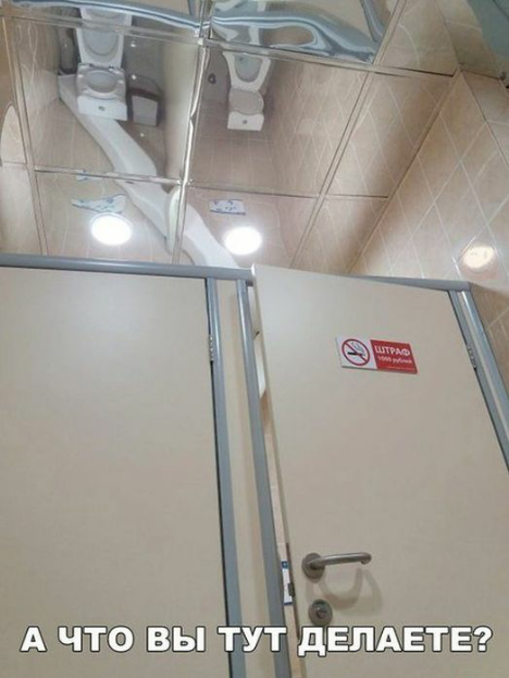 Приколы, которые поднимут вам настроение