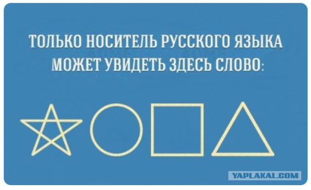Не ссы, ссы!