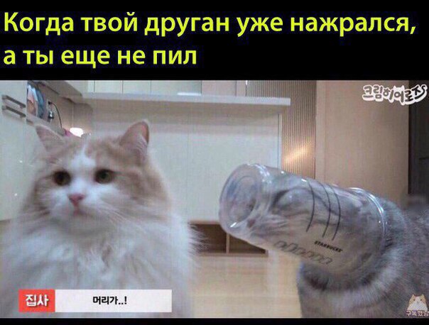 Веселые пятничные картинки