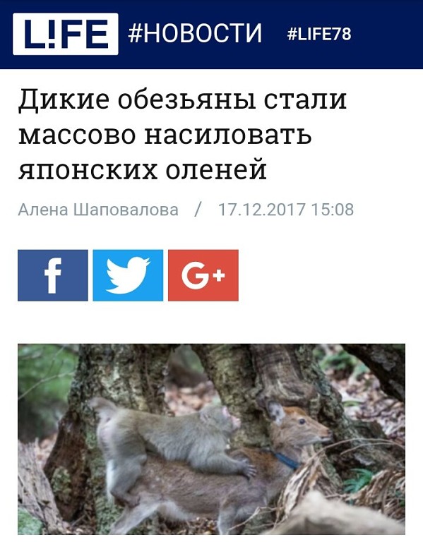 Предновогодняя распродажа
