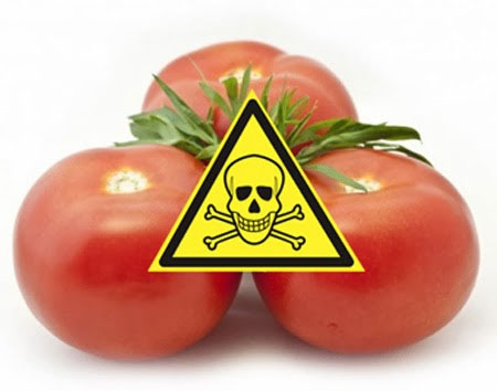 Турция вновь обвинила Россию в нарушении воздушного пространства