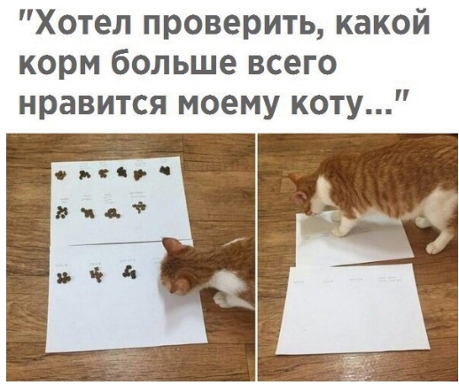 Специфический юмор