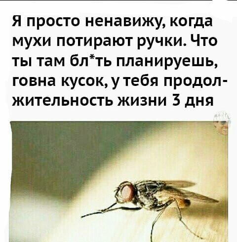 Немного картинок на вечер