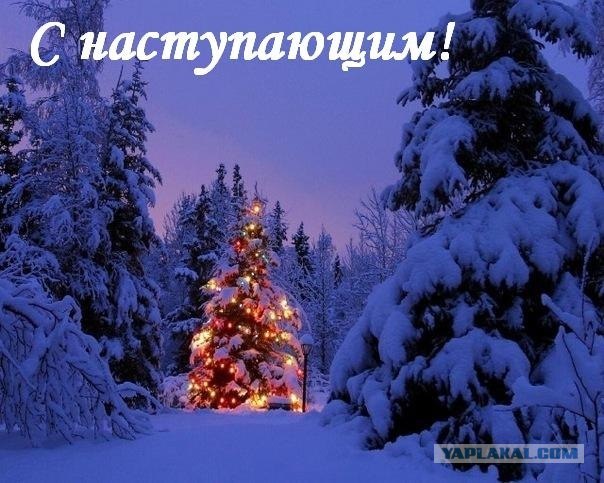 С Новым годом, кaмрады!