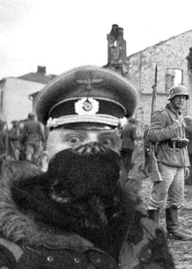 Отжабьте меня пожалуйста