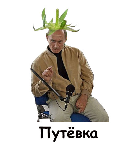 Фотожаба: Лето, фрукты, генетика!