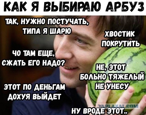 Оказывается перец не овощ, а арбуз не ягода