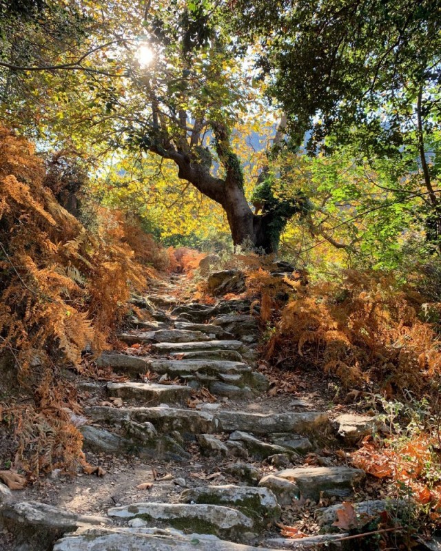 Картинки и мемы для настроения 05.08.2021