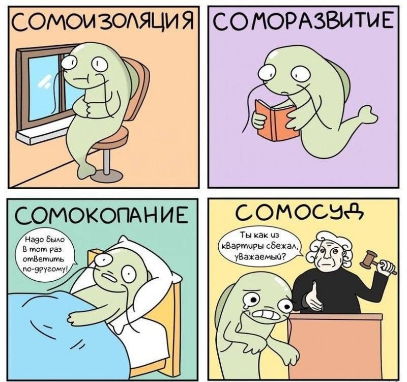 https://s00.yaplakal.com/pics/pics_original/6/6/0/16508066.jpg