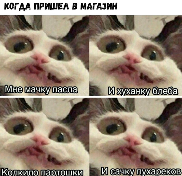 Весёлый полтишок 06.04.22