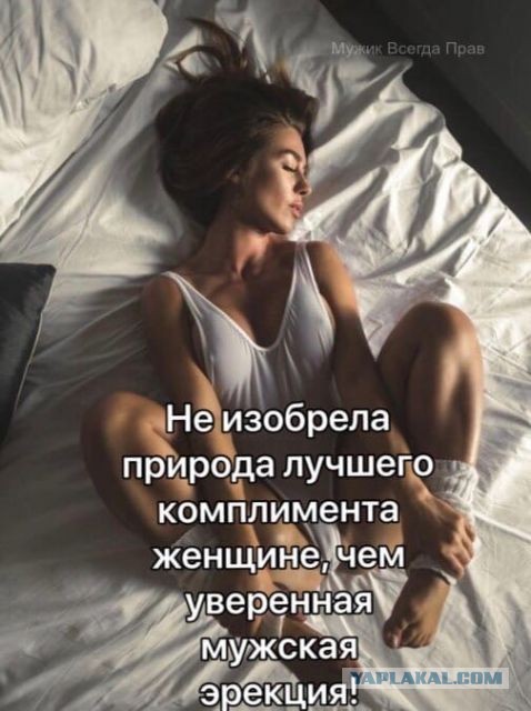 Немного мемчиков. Для взрослых. Часть 36