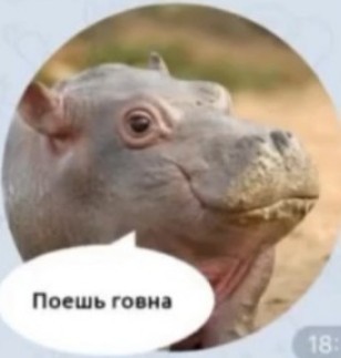 Группа "Чайф" выпустила песню "Донбасское лето"