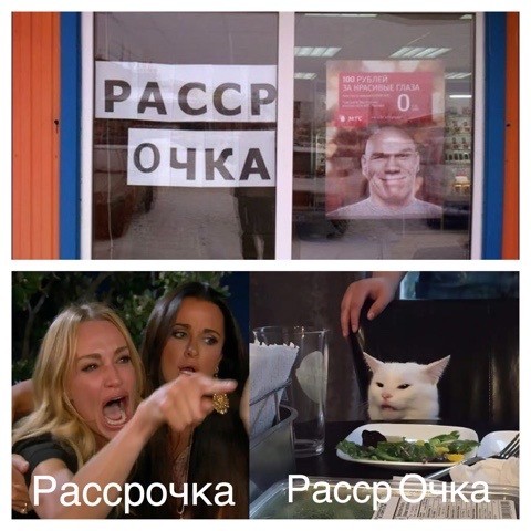 Знаменитый кот
