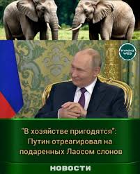 С 1 сентября россиянам запретят держать дома лис, росомах, медоедов, сервaлов, тюленей, моржей, гиен и медведей