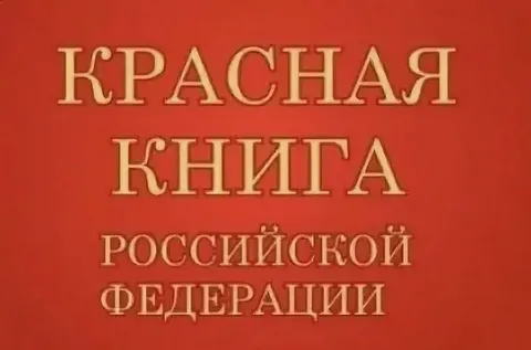Кто должен платить на первом свидании в Москве?! Ответ прост...