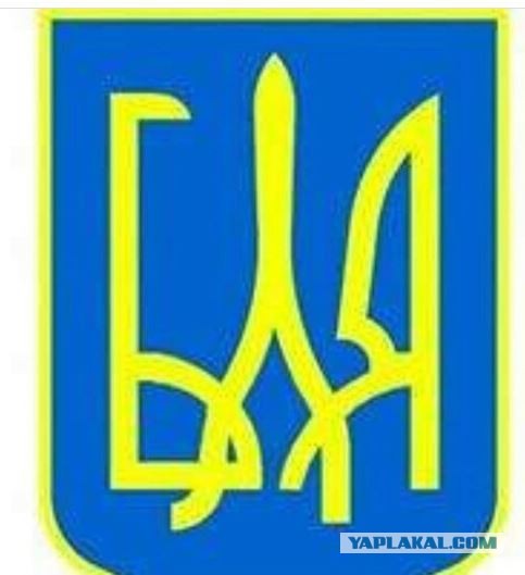 С украинским трезубцем на шапке и американским флагом