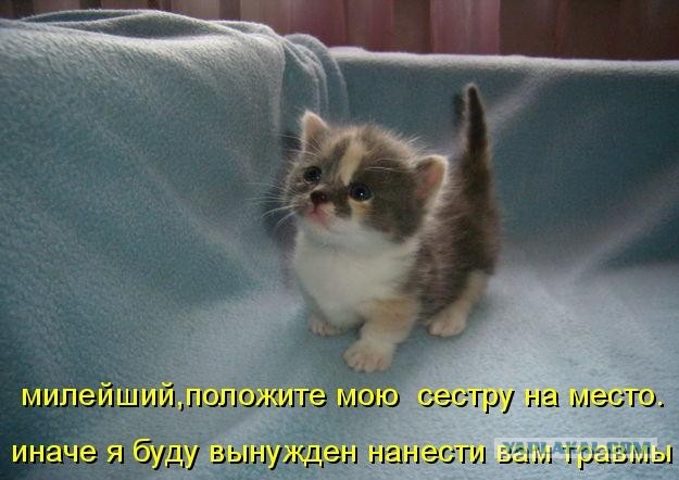 Беспощадные терьеры! (0+)