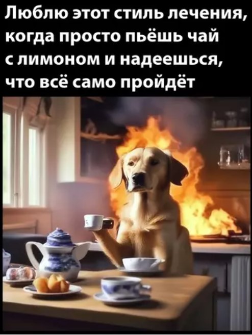 Картиночки, баянчики 29 марта